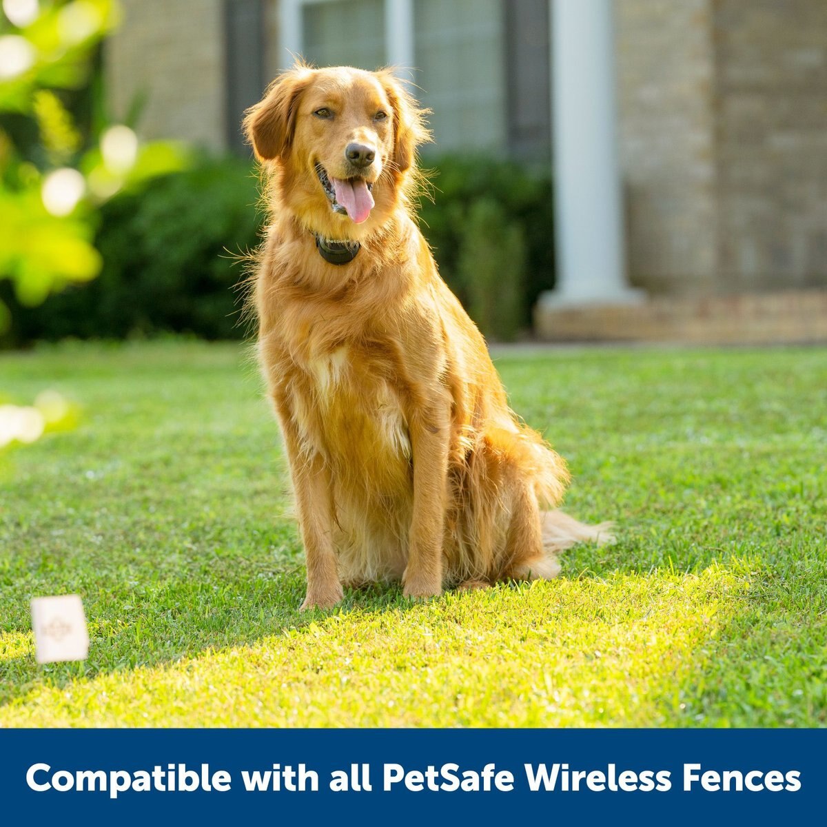 PetSafe Stay and Play Wireless Fence with Replaceable Battery Collar