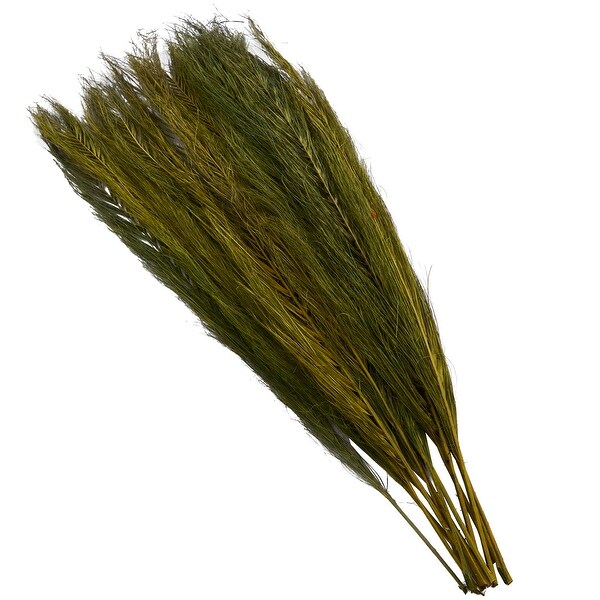 Green Dried Plant Leaves Home Decor Natural Foliage with Feather Inspired Stems