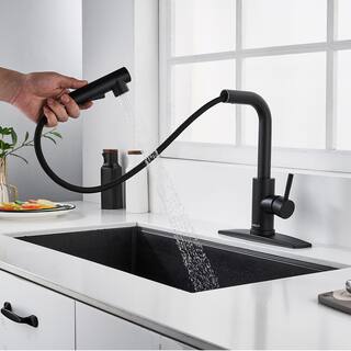 FORIOUS Single-Handle Kitchen Sink Faucet with Pull Down Sprayer Kitchen Faucet in Black HH0025B