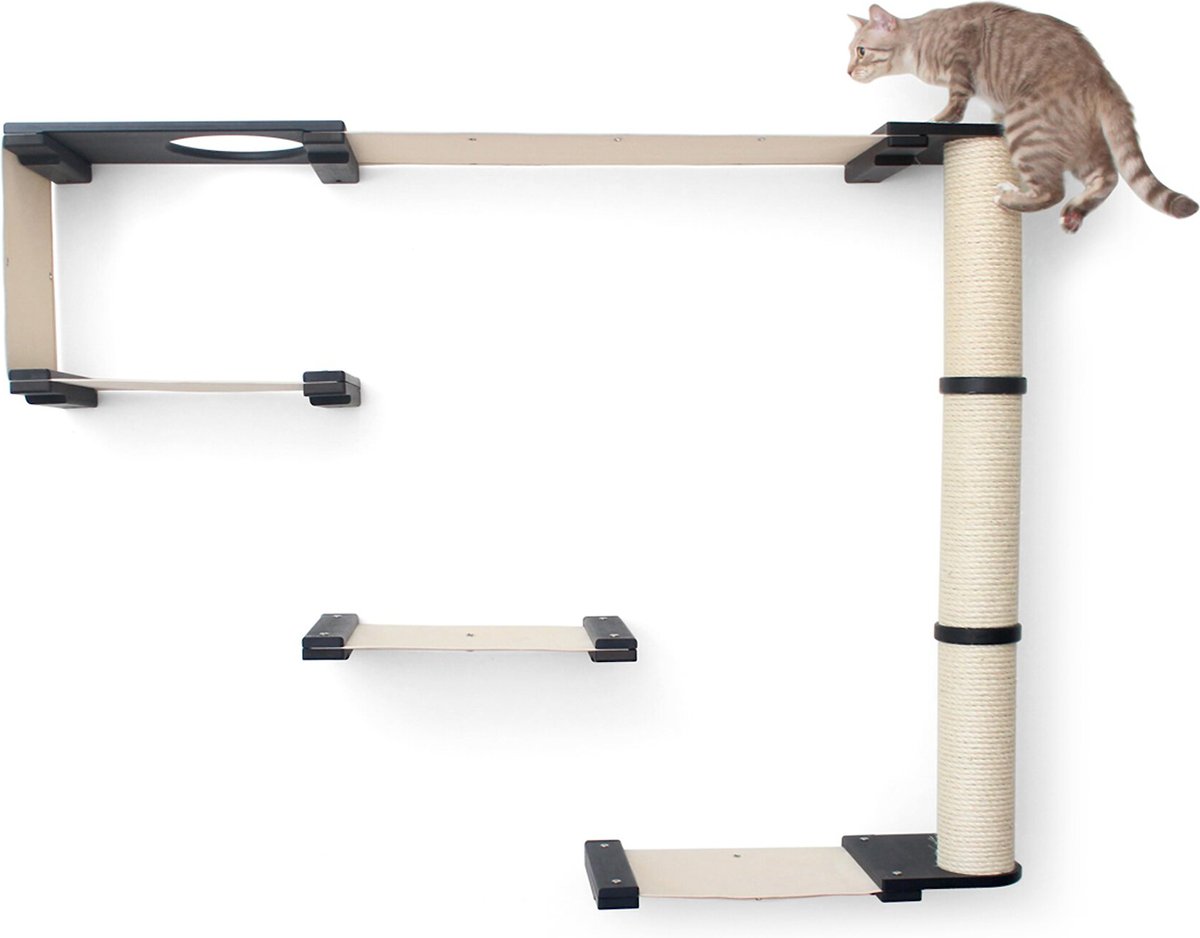 CatastrophiCreations Climb Wall Mounted Activity Cat Tree Shelf Set