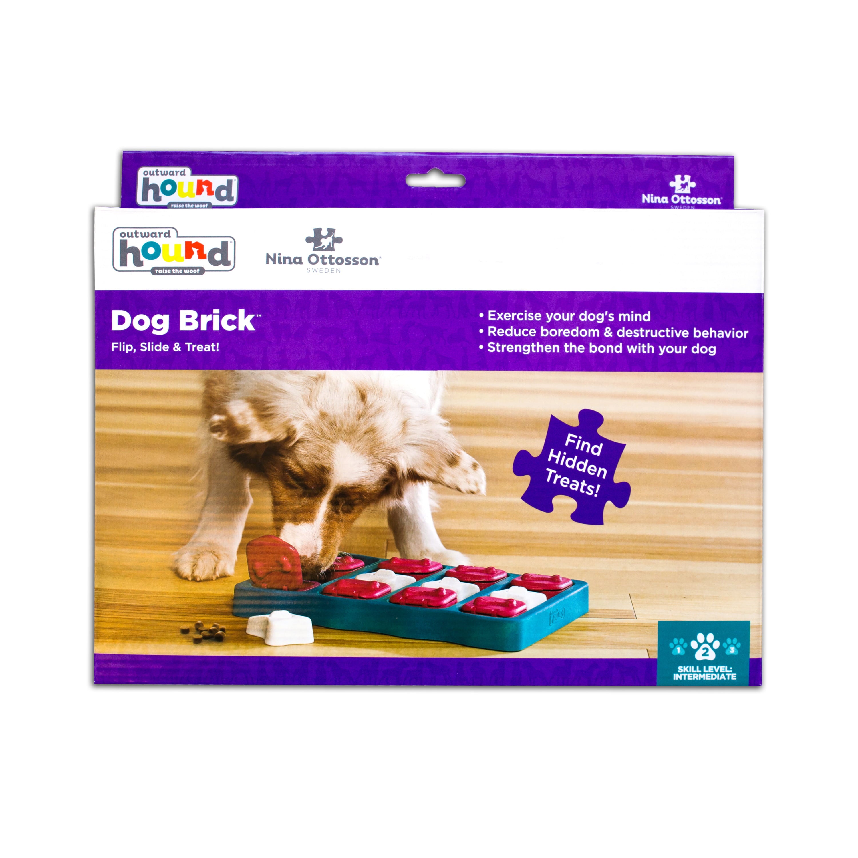 Outward Hound Nina Dog Brick Interactive Treat Puzzle Dog Toy， Blue， One-Size