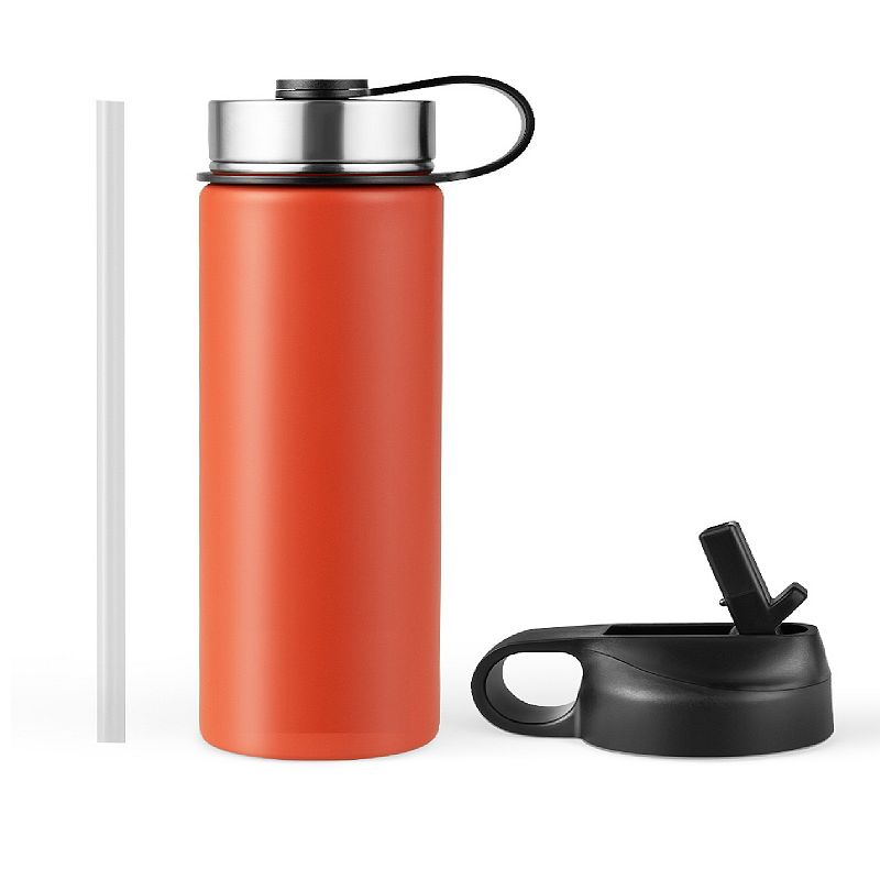 22 Oz Double-walled Insulated Stainless Steel Water Bottle with Straw Lid