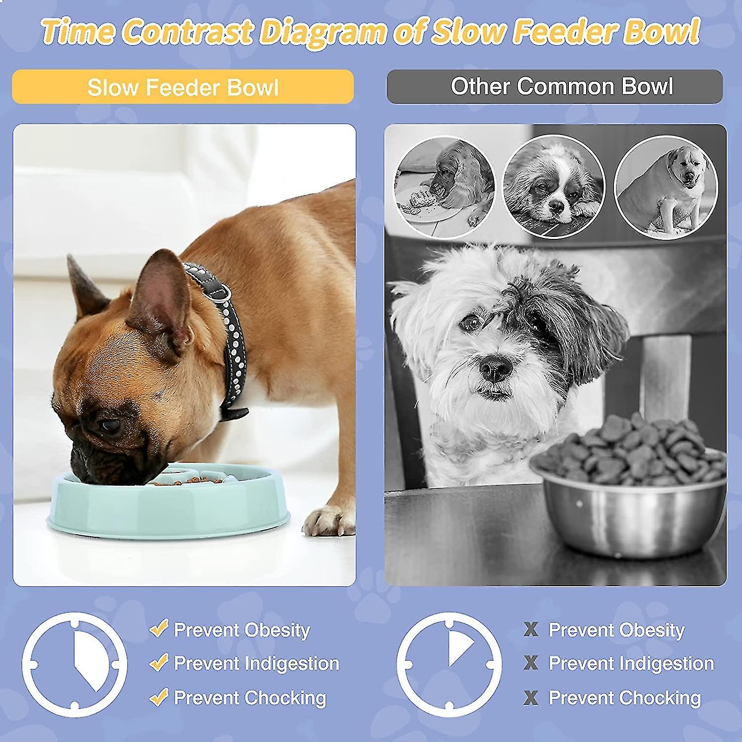 Slow Feeder Dog Bowl， Personalised Anti Gulp Dog Bowls To Slow Down Eating， Non-slip And Fun Interac