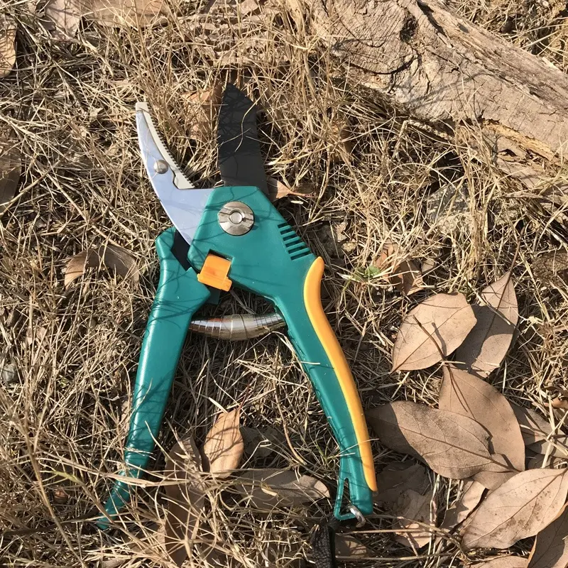 Gardening Pruner Shears Bonsai Shears Plants Trimmer Pruning Scissors Steel Blade Bypass Hand Pruner