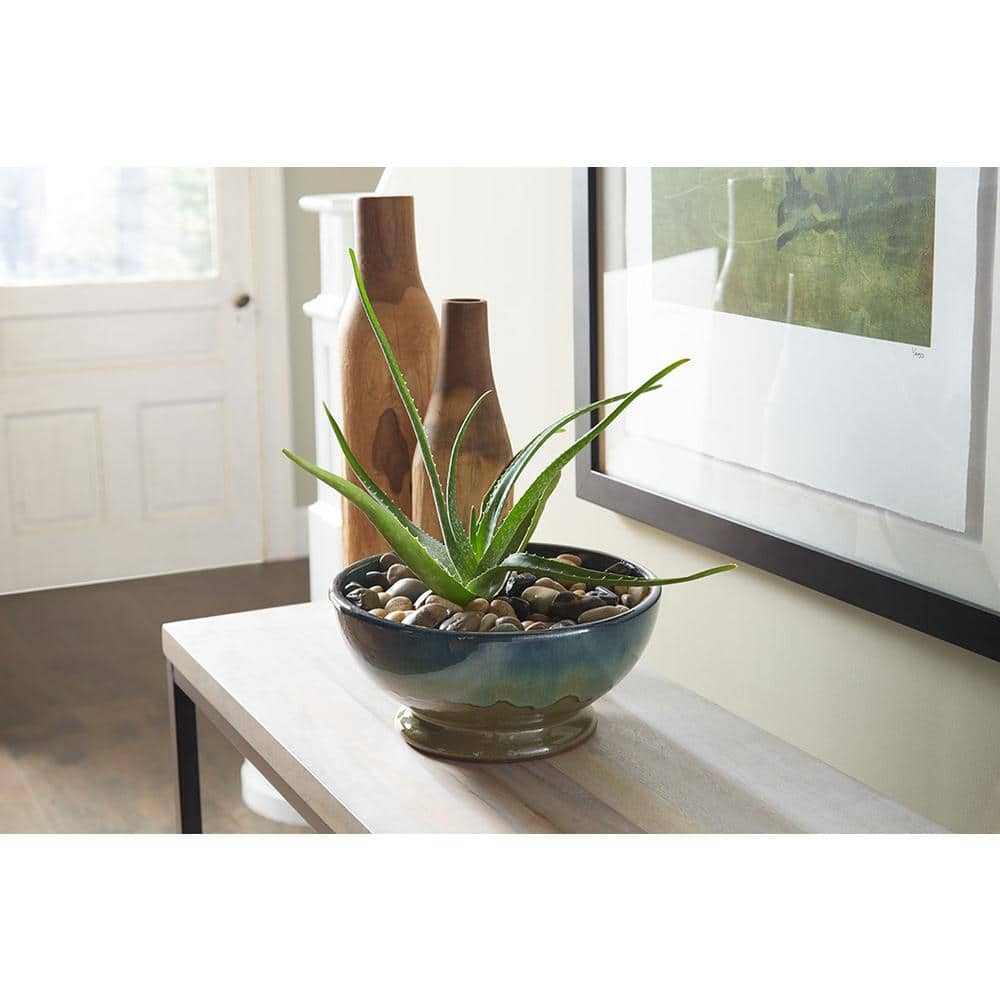 Trendspot 12 in. Dia Caspian Multi-Color Ceramic Bowl Planter CR10775-12C