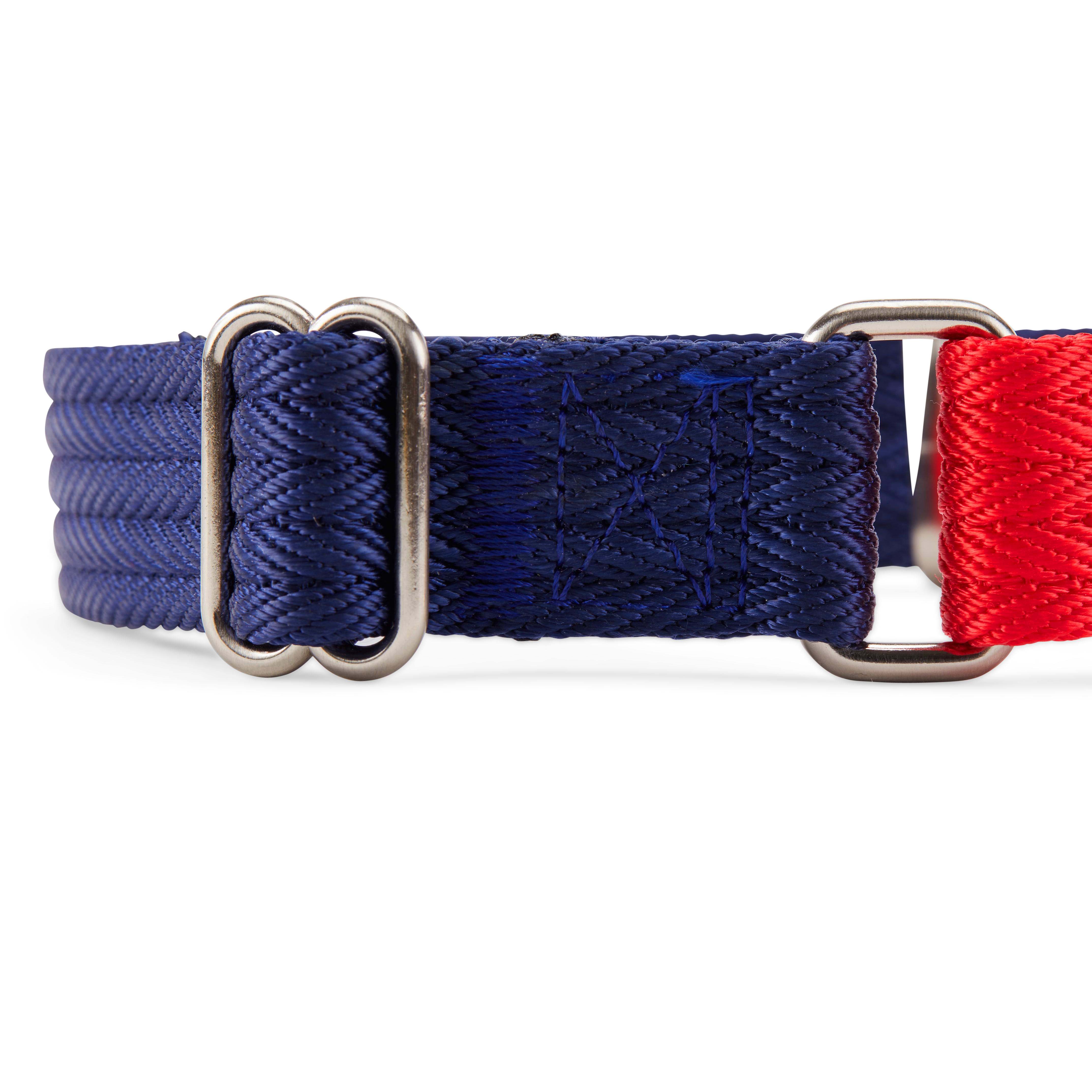 Good2Go Red and Blue Two Tone Martingale Dog Collar， Medium