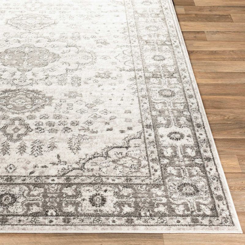 Workum Traditional Area Rug