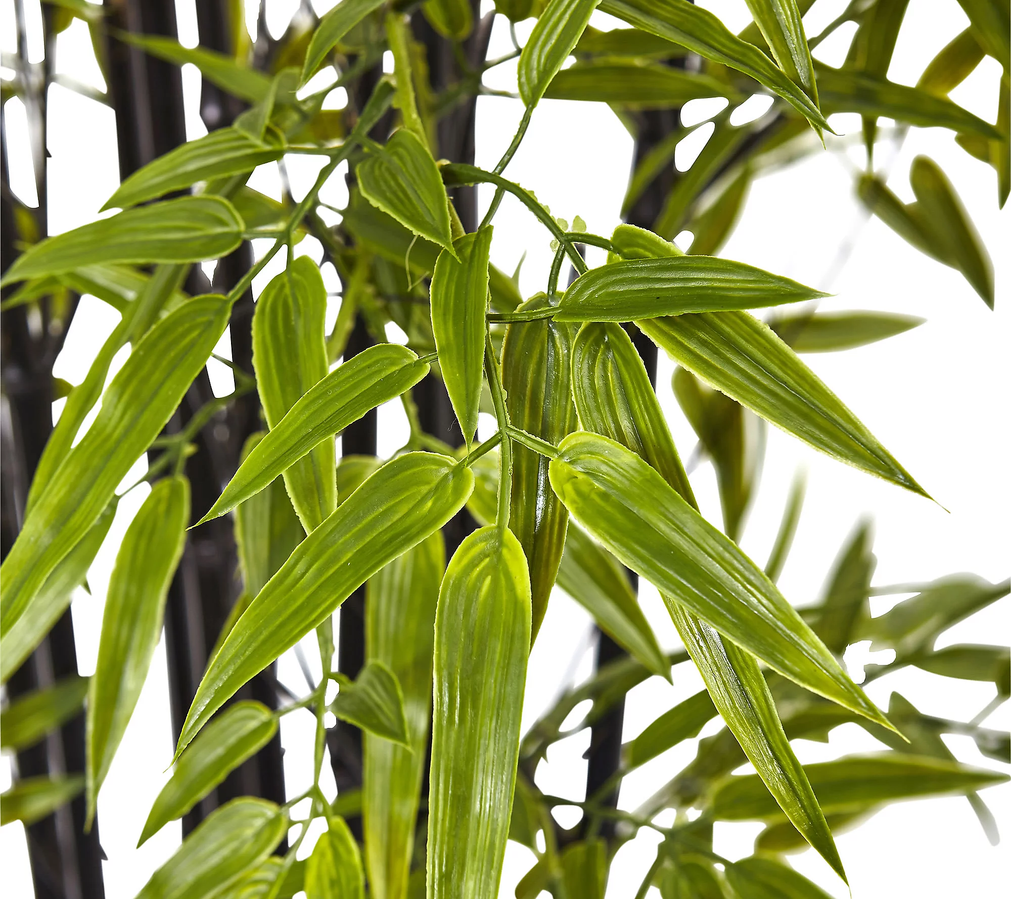 6' Black Bamboo Tree by Nearly Natural