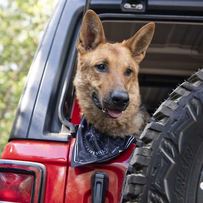 Jeep Backroads Dog Bandanna