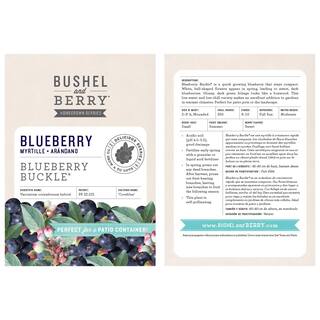 BUSHEL AND BERRY 1 Gal. Bushel and Berry Blueberry Buckle Blueberry Live Plant HD1665