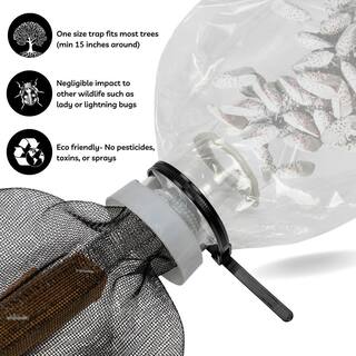 Spotted Lanternfly Trap WKNUY0BCIC