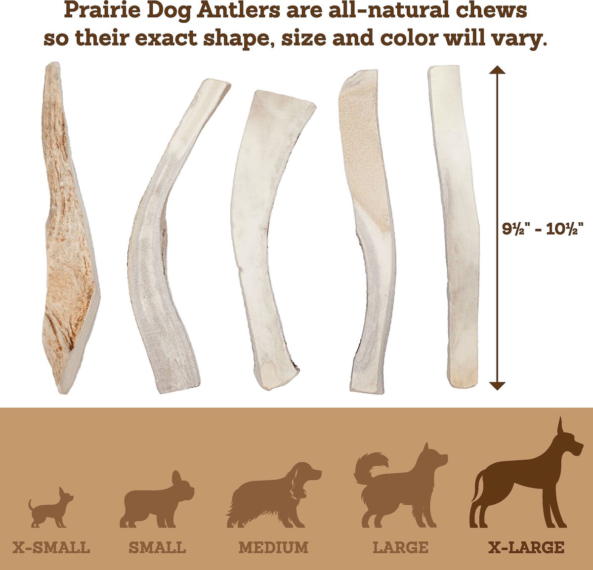 Prairie Dog Split Moose Antler Dog Chews， 9.5 - 10.5 inch