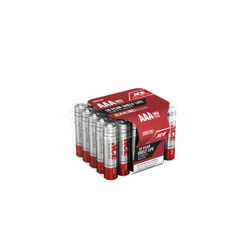 BATTERY ALKLN AAA 30PK