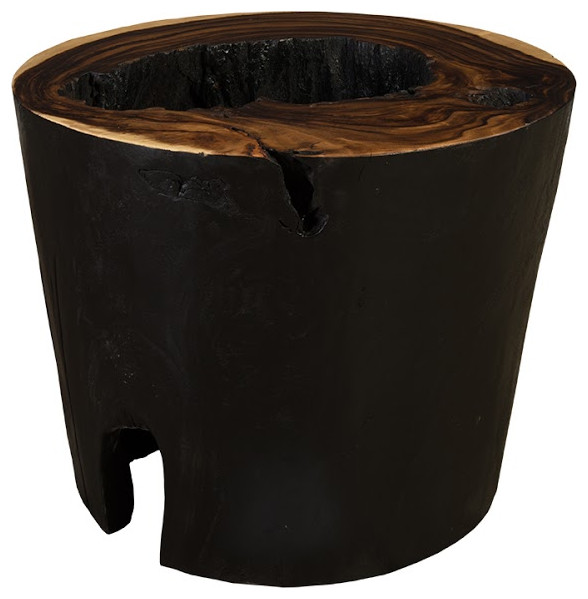 Chamcha Wood Side Table  Burnt Edge   Rustic   Side Tables And End Tables   by Phillips Collection  Houzz