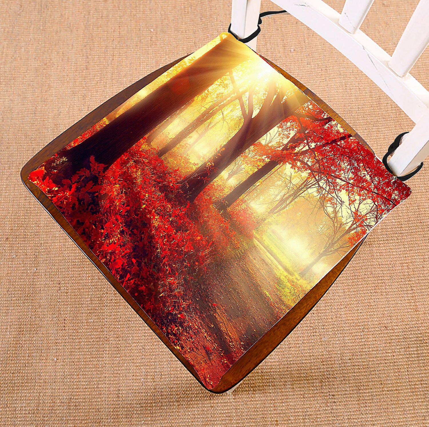 Landscape Nature Scene Chair Pad， Autumn Trees And Leaves In Foggy Forest At Sunrise Seat Cushion Chair Cushion Floor Cushion 50x50 Cm