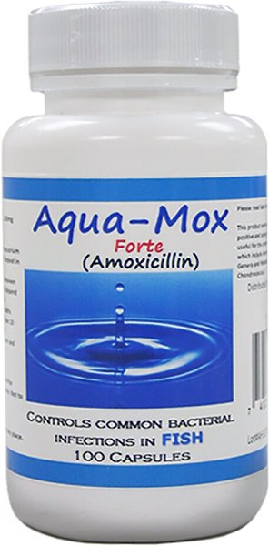 Midland Vet Services Aqua-Mox Forte Amoxicillin Fish Antibiotic， 100 count