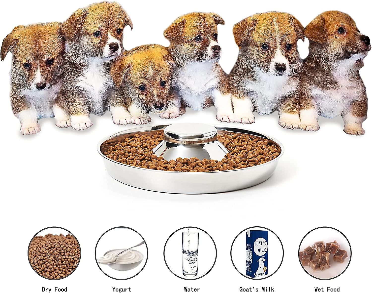 Dog Bowl And Feeder Stainless Steel Puppy Bowls， Set Of 2 Puppy Feeders， Dog Food And Water Bowl， Food Weaning For Small Medium Dogs， Pets， S