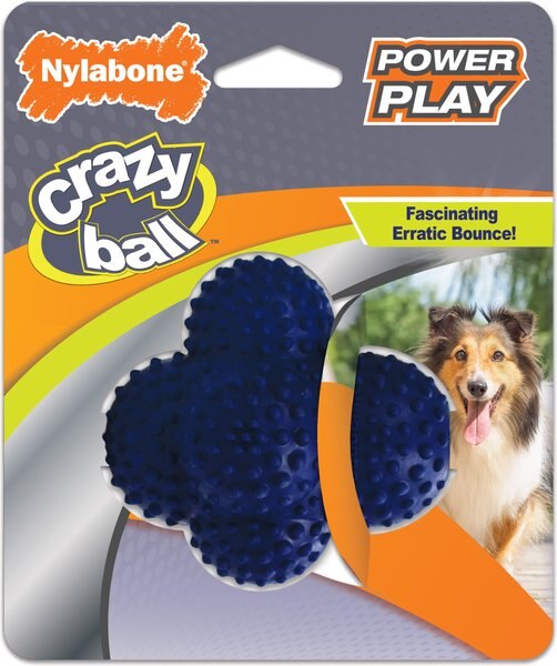 Nylabone Power Play Crazy Ball Dog Toy