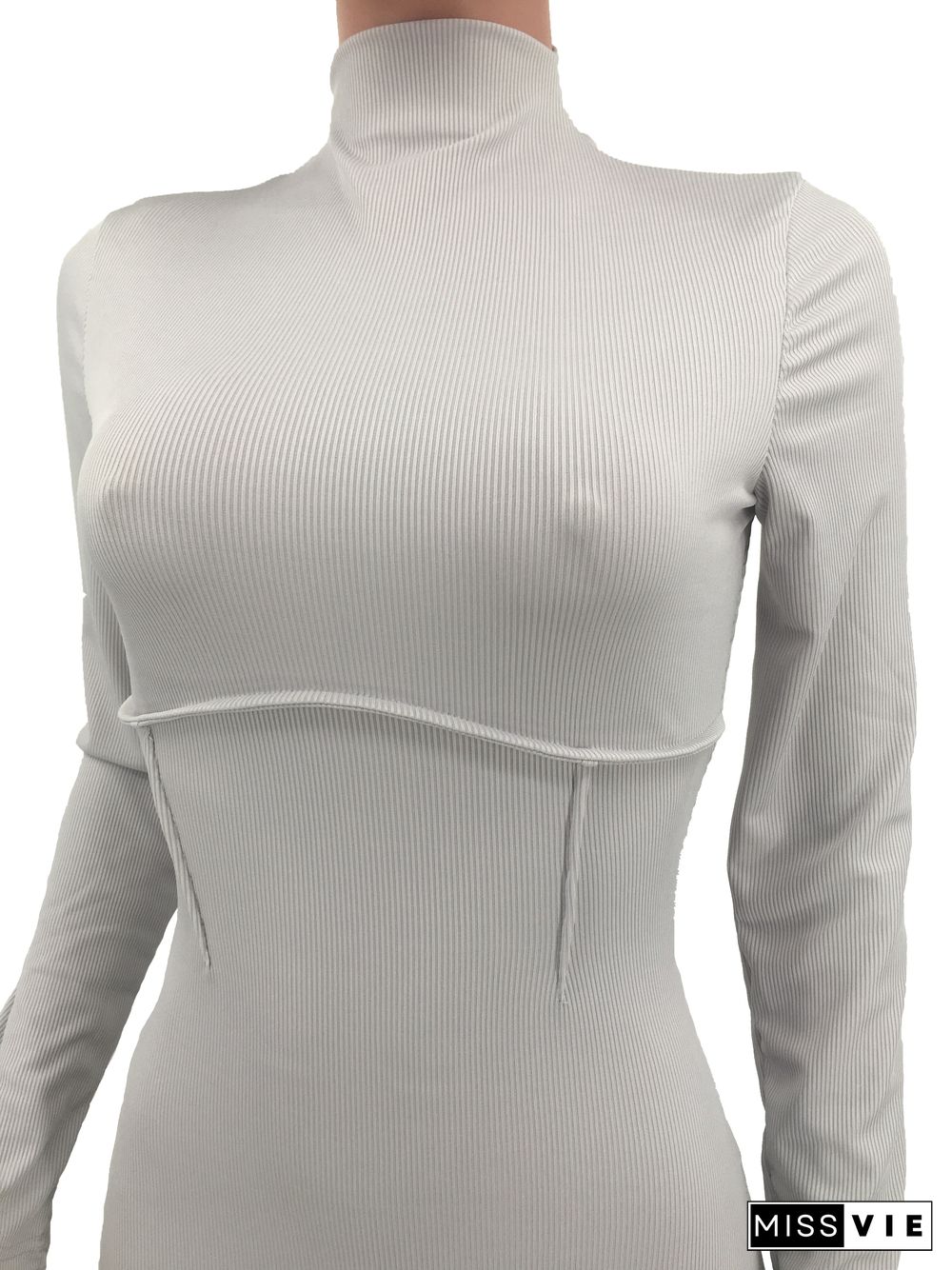 Turtleneck Long Sleeve Bodycon Fitness Jumpsuit