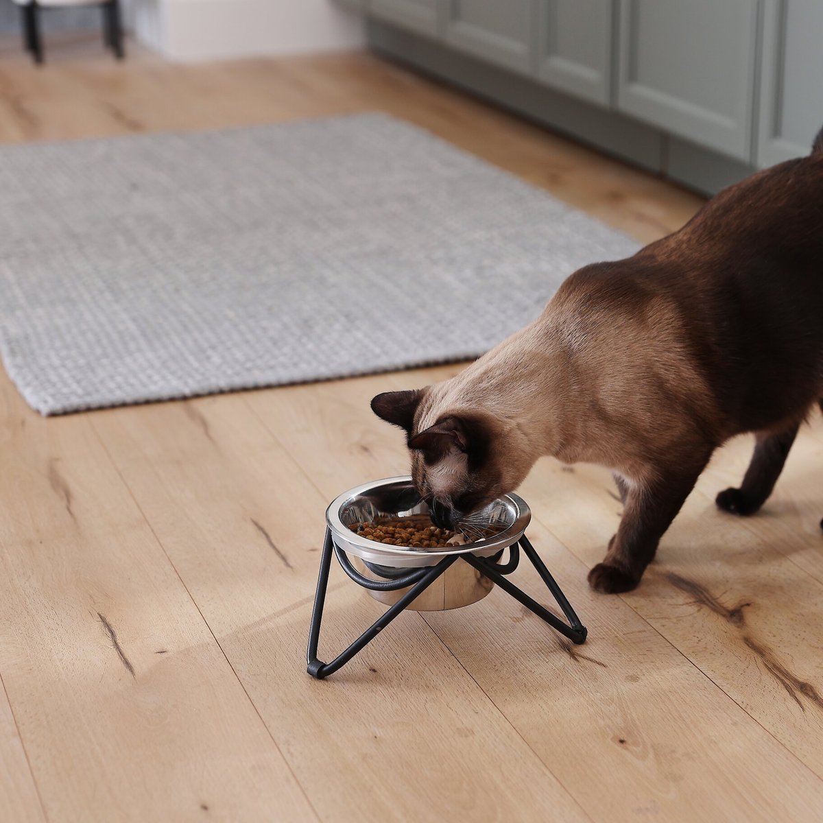 Frisco Triangle Iron Non-Skid Elevated Dog and Cat Bowl