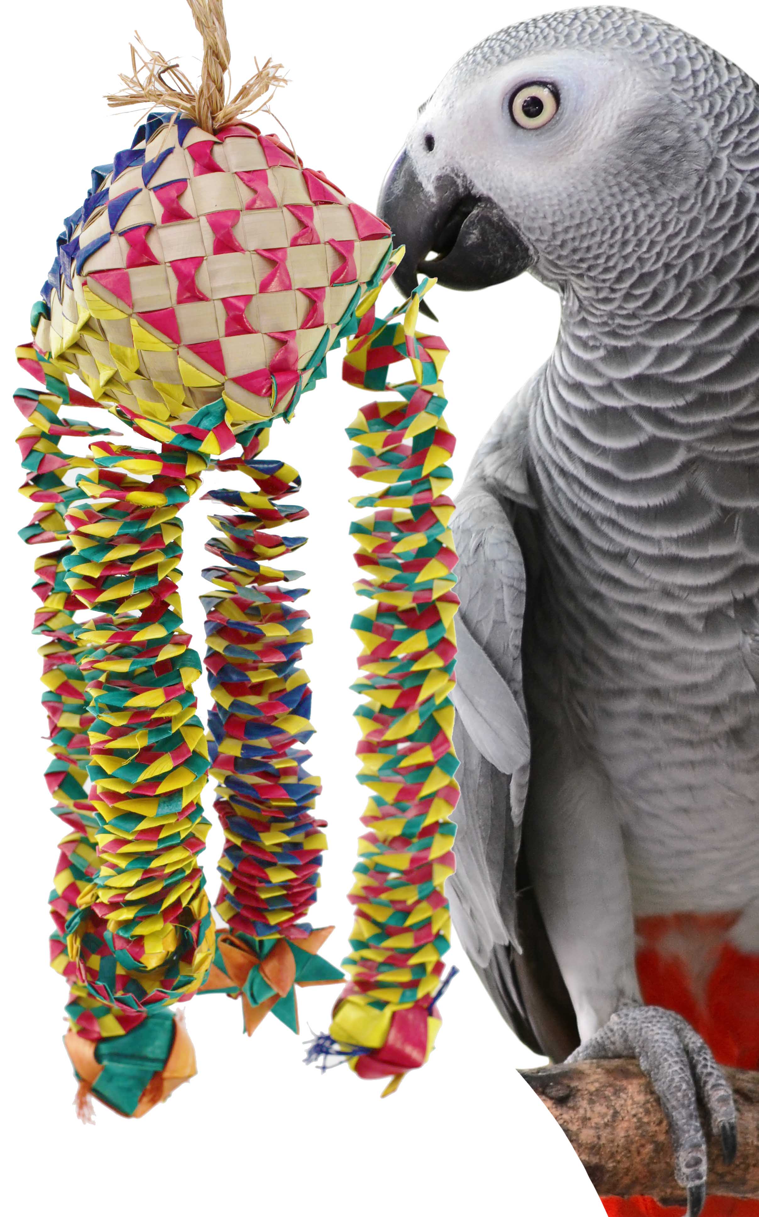 03328 Large Diamond Bouncer Bird Toy