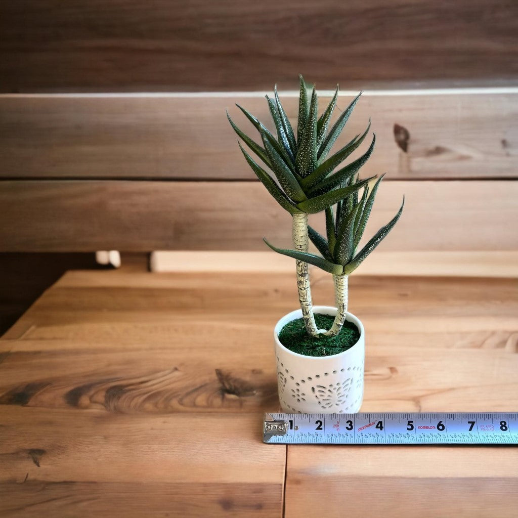 Stunning Artificial Succulent in Ceramic Pot