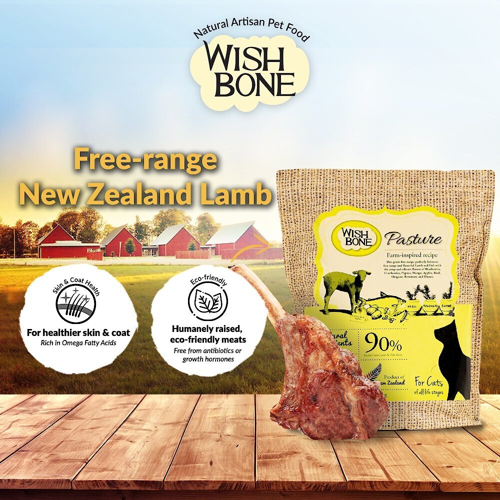 Wishbone Pasture Grain-Free Dry Cat Food