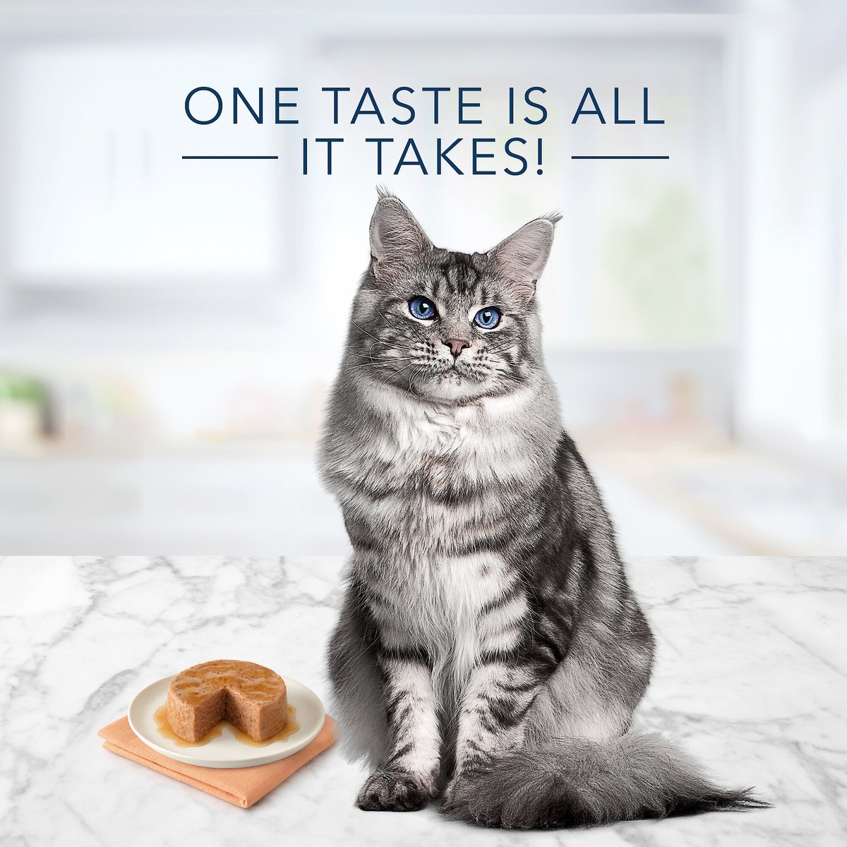 Blue Buffalo Tastefuls Chicken Entrée Mature Cats Pate Wet Cat Food， 3-oz can， case of 24