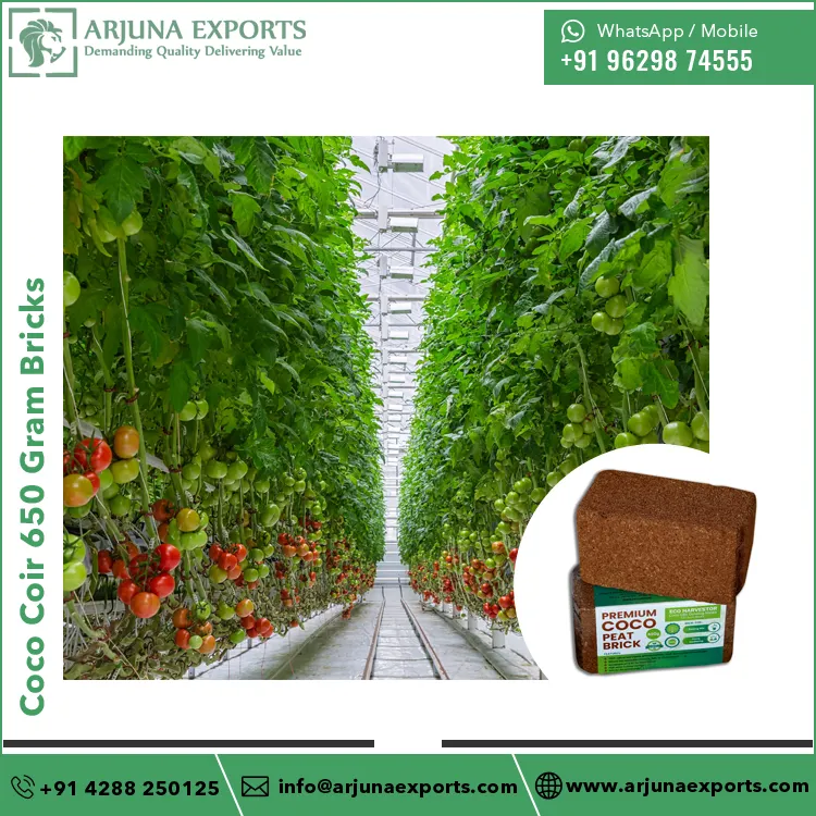 Trusted Manufacturer and Supplier Bulk Quantity Factory Price Coconut Coco Peat Coco Coir Pith 650 Gram Block for Home Gardening