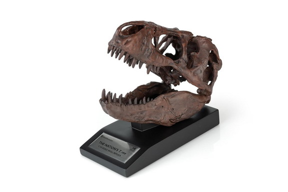 The Nation's T Rex Skull Statue  6 Inch Smithsonia...