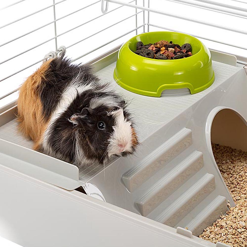 Ferplast Cavie 80 Guinea Pig Cage