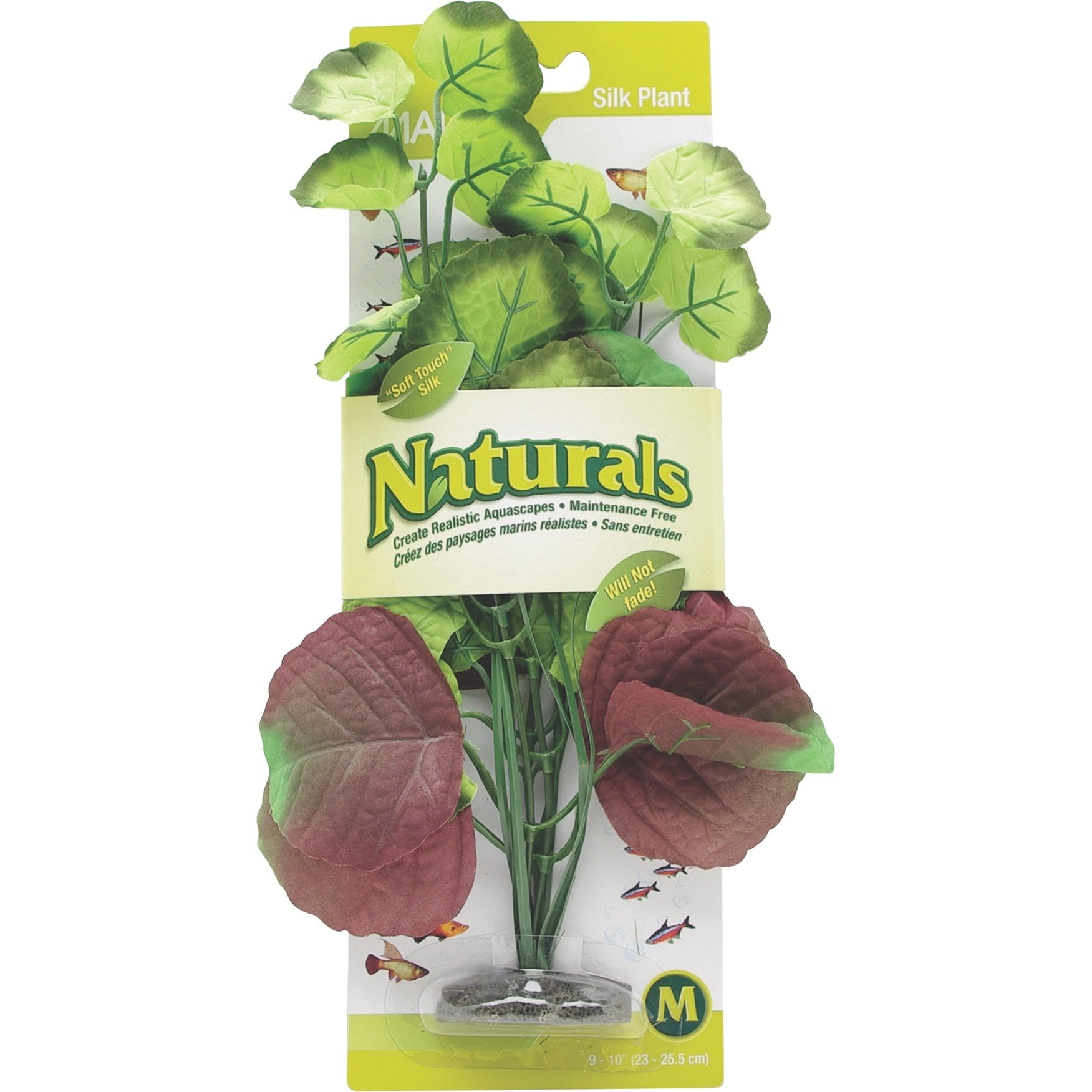 Marina Naturals Pennywort Silk Plant， Medium