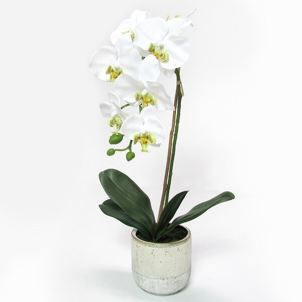 White Artificial Phalaenopsis Orchid Flower Arrangement in Half Glazed Ceramic Pot 22in