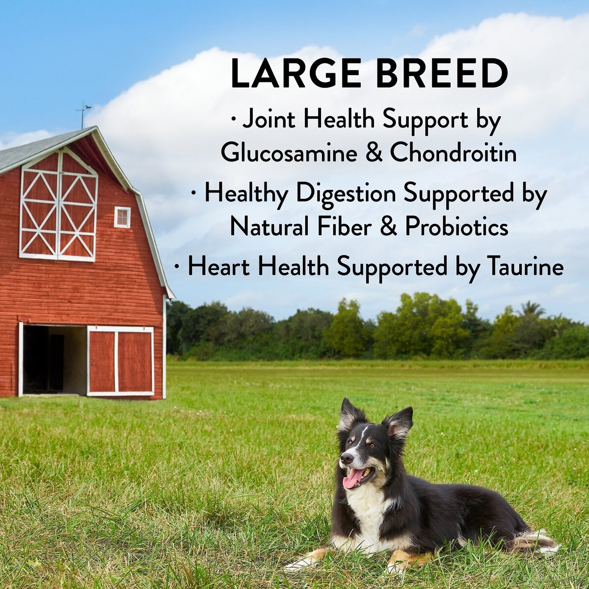 True Acre Foods Large Breed Chicken and Vegetables Recipes Grain-Free Dry Dog Food