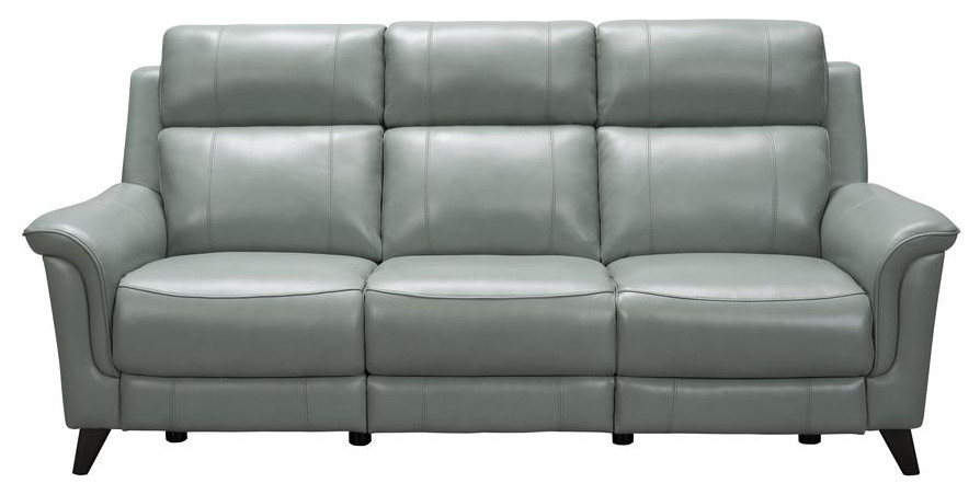 39PH 3716 Kester Power Reclining Sofa  Mint   Contemporary   Sofas   by Kolibri Decor  Houzz