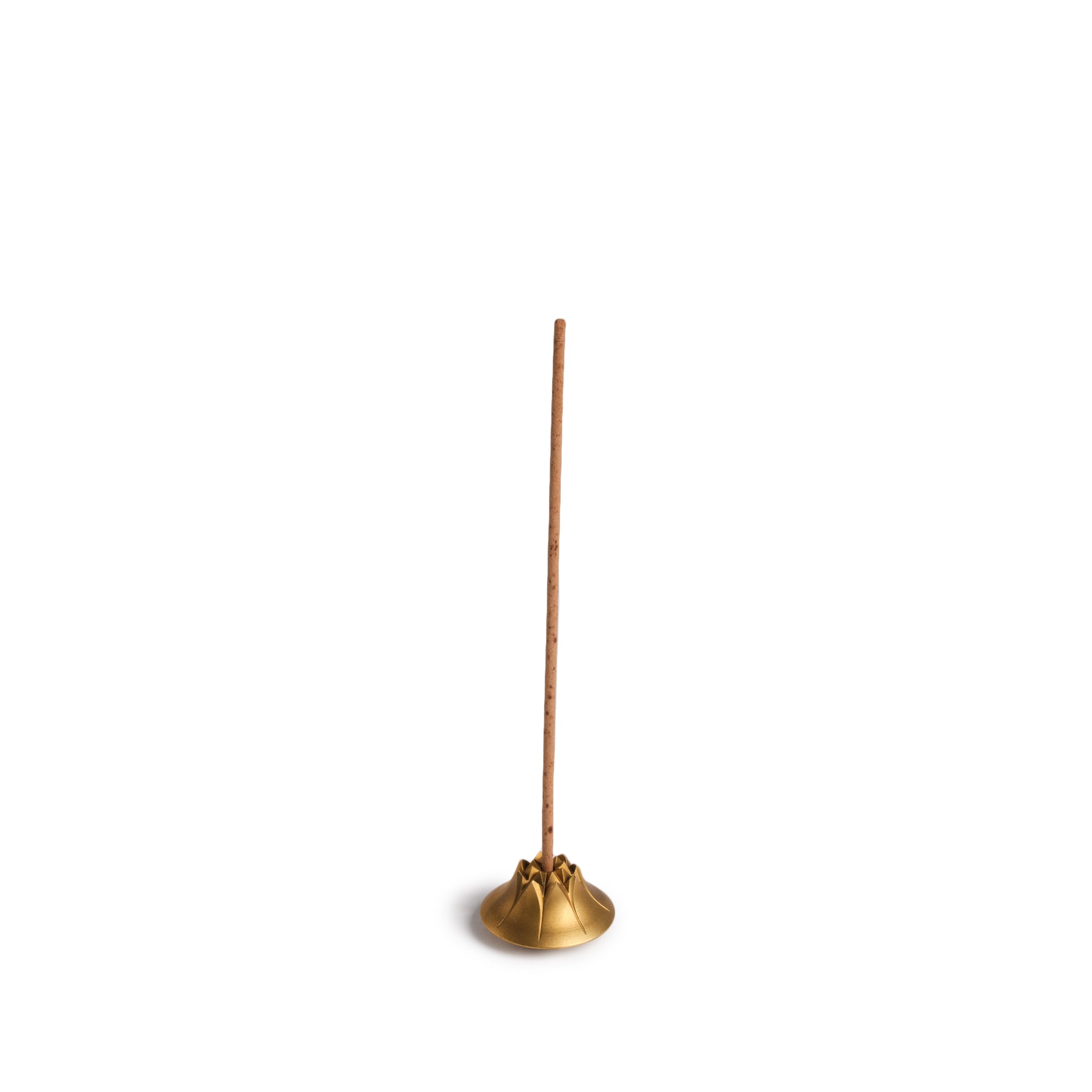 Agave Incense Holder in Satin Brass