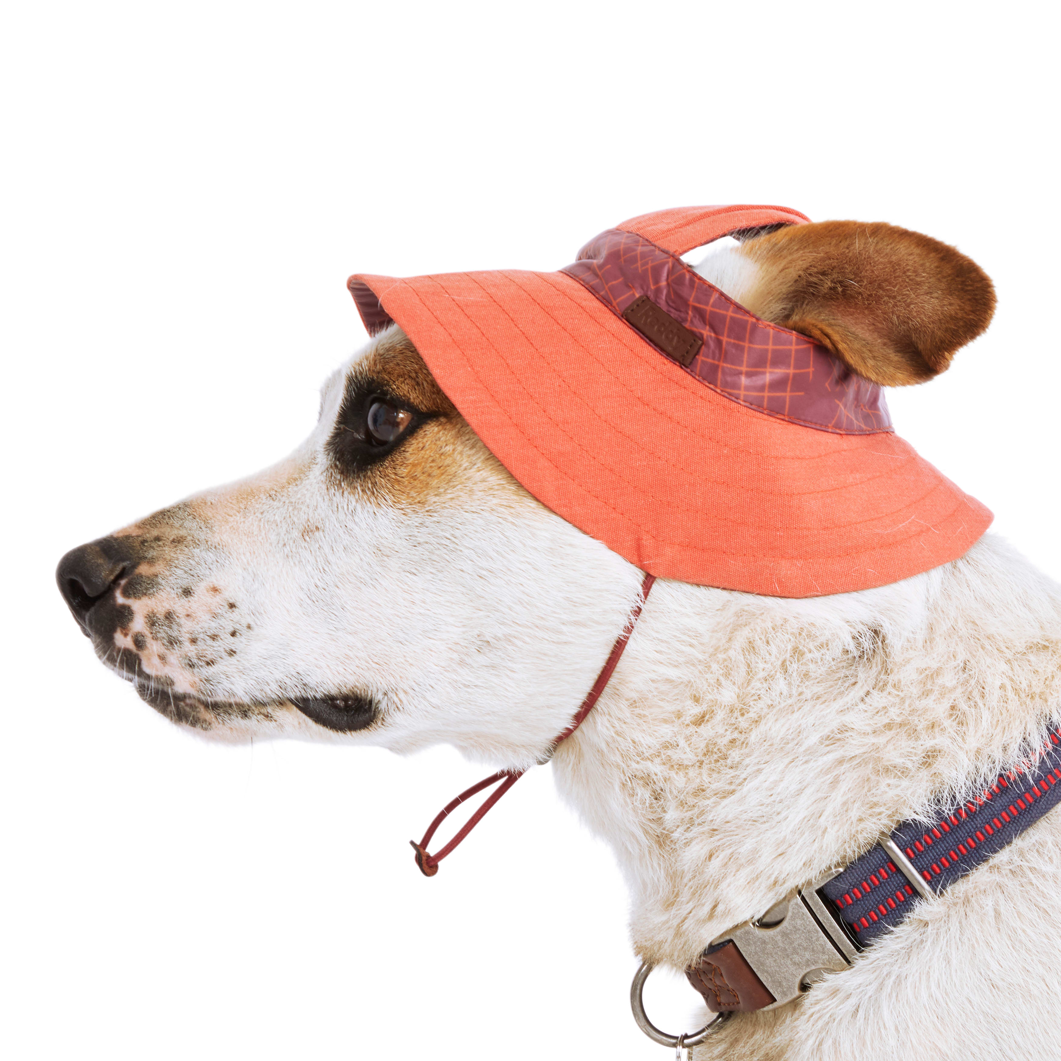 Reddy Orange Bucket Dog Hat， X-Small/Small