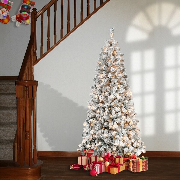 National Tree Company 6 ft. Acacia Flocked Tree with Clear Lights