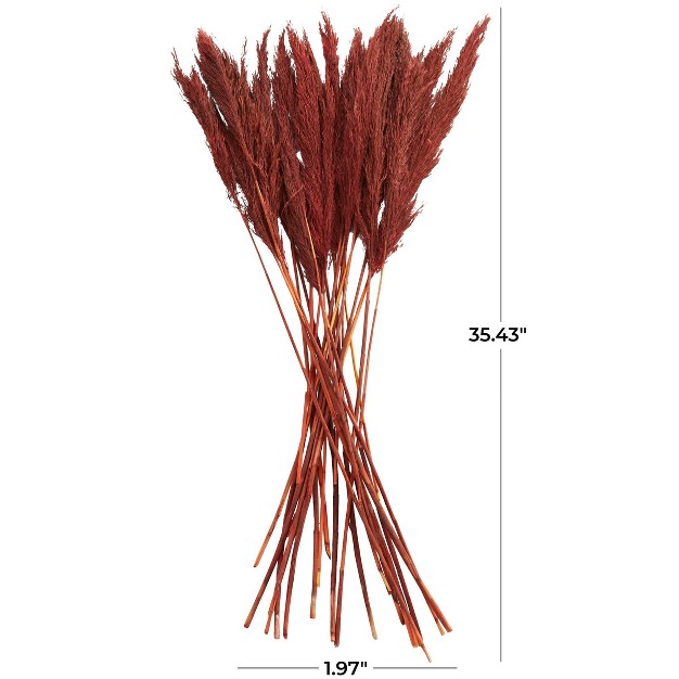 35 x27 x27 X 2 x27 x27 Dried Plant Pampas Natural Foliage With Long Stems Red Olivia amp May