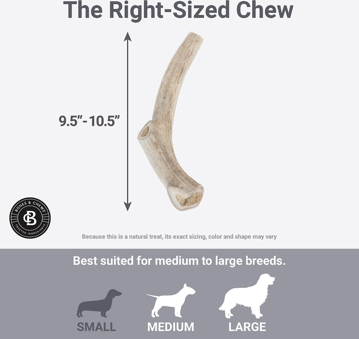 Bones and Chews Made in USA Deer Antler Dog Chew， 9.5 - 10.5-in， X-Large