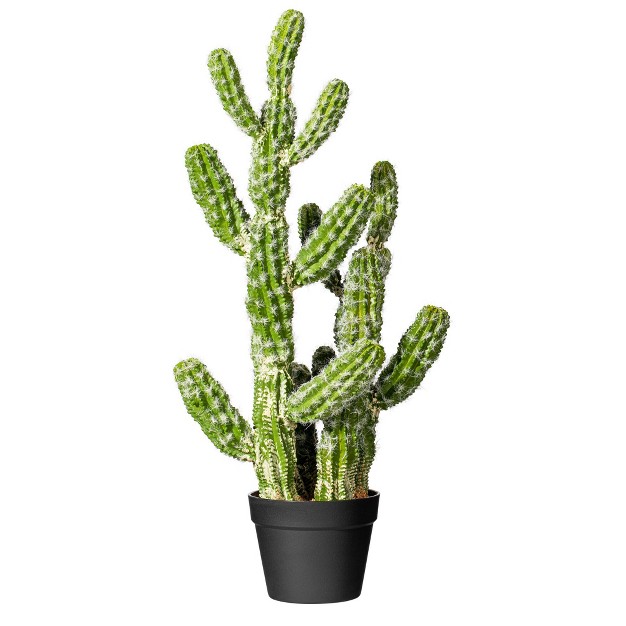 Vickerman Artificial Potted Cereus Cactus