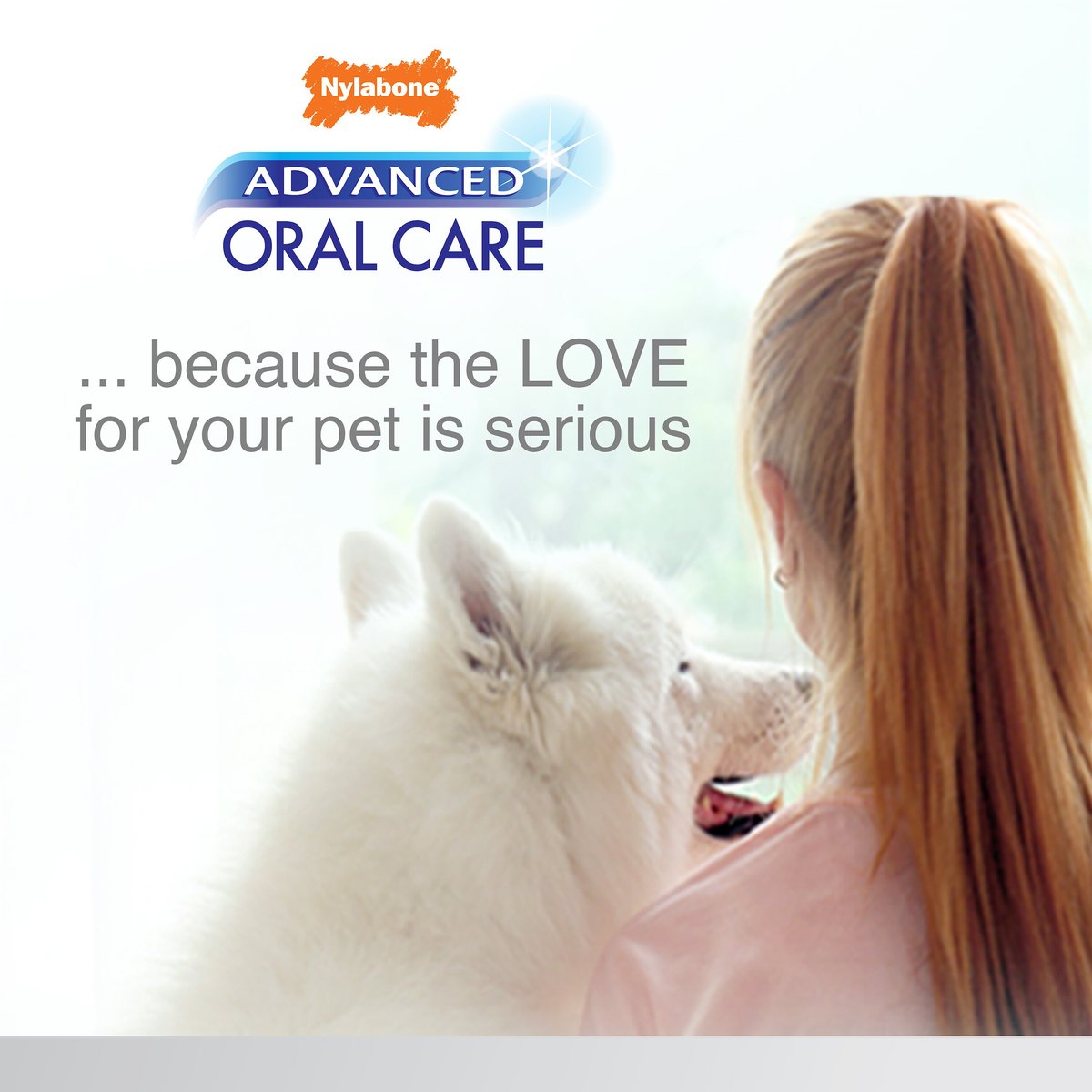 Nylabone Advanced Oral Care Original Flavor Puppy Dental Kit