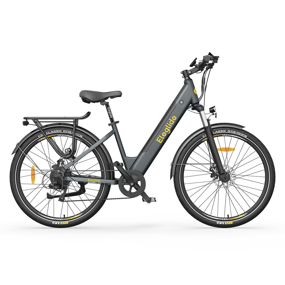 Chinese Manufacturer Trekking E Bike Step Through E Bike E Cycle Electric Bike