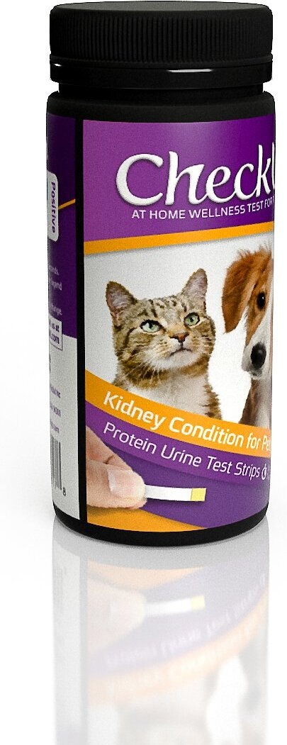 CheckUp Kidney Condition for Pets Urine Testing for Dogs and Cats