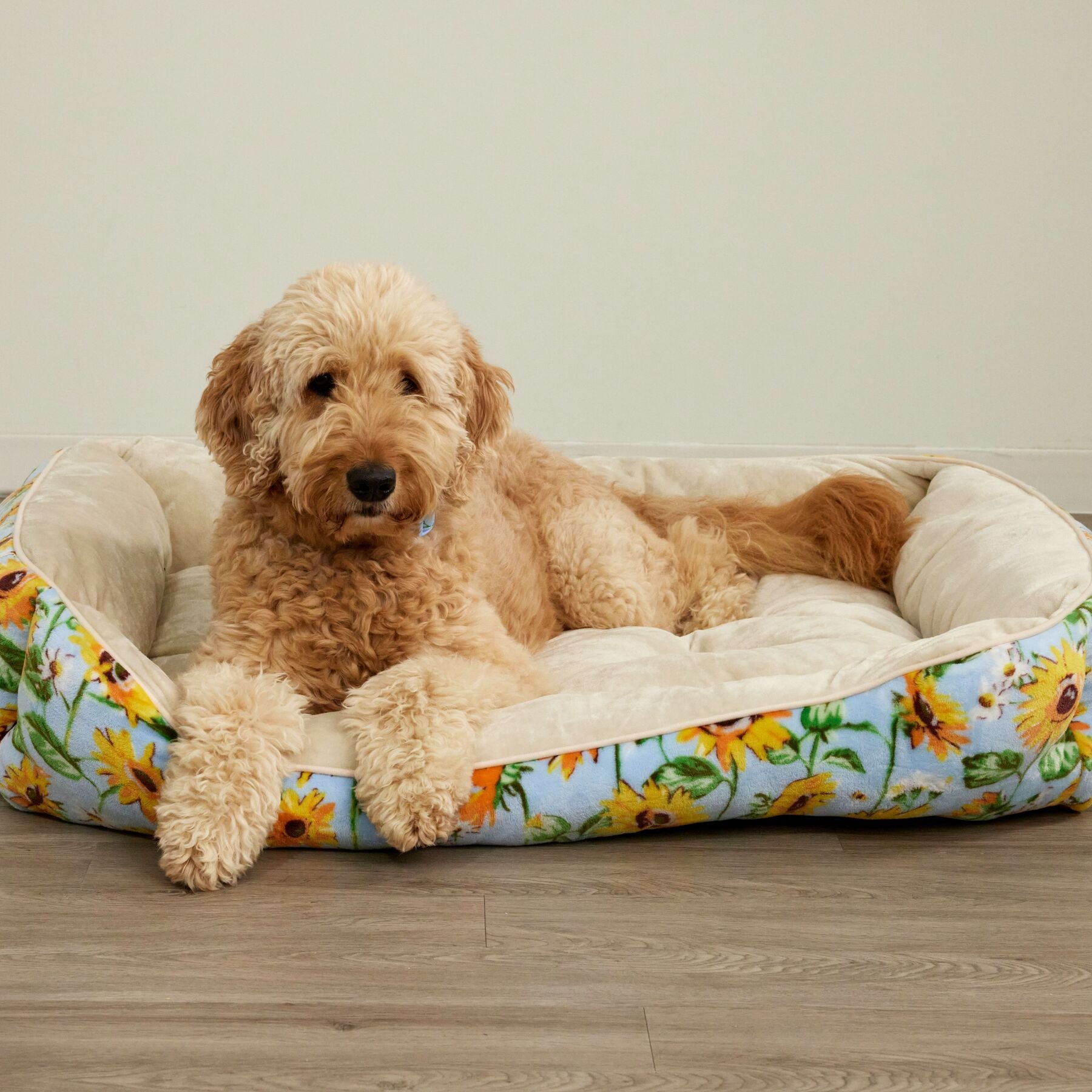 Pet Bed, Small-Medium