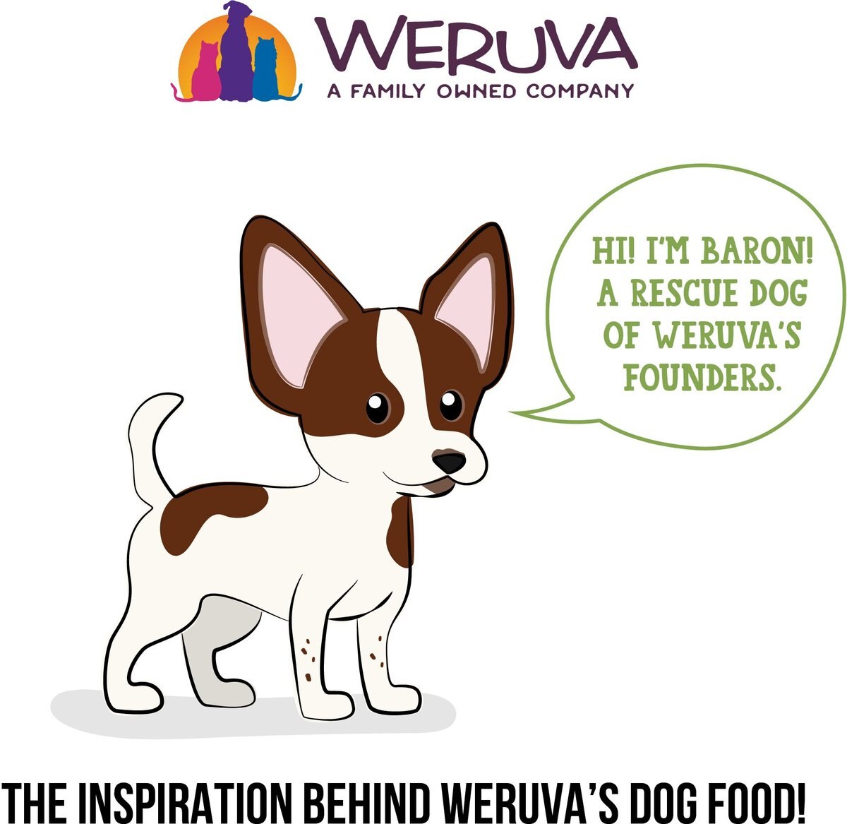 Weruva Dogs in the Kitchen Lamburgini with Lamb and Pumpkin Au Jus Grain-Free Dog Food Pouches