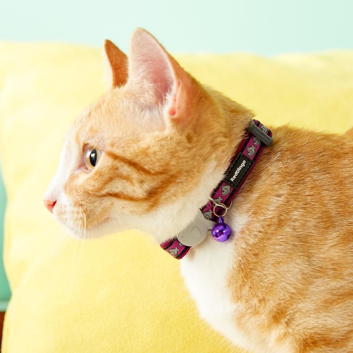 Red Dingo Nylon Reflective Breakaway Cat Collar with Bell