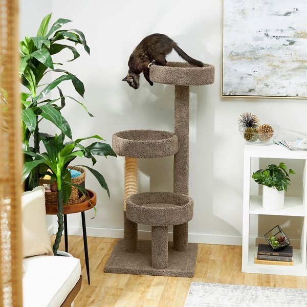 Frisco 50-in Real Carpet Wooden Cat Tree