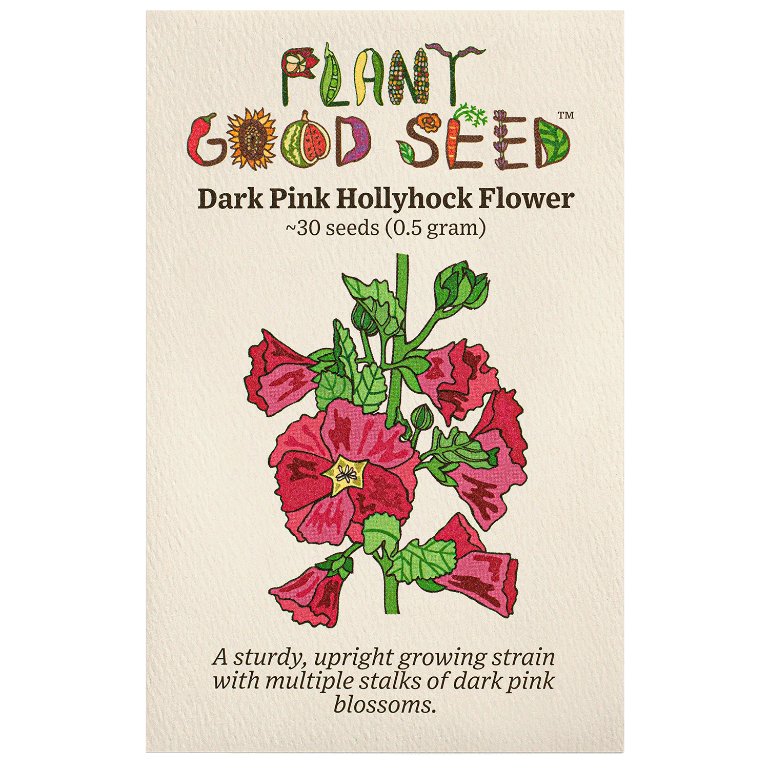 Plant Good Seed Dark Pink Hollyhock Seeds For Planting， 30 Seeds