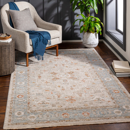 Avant Garde Blue & Taupe Rug